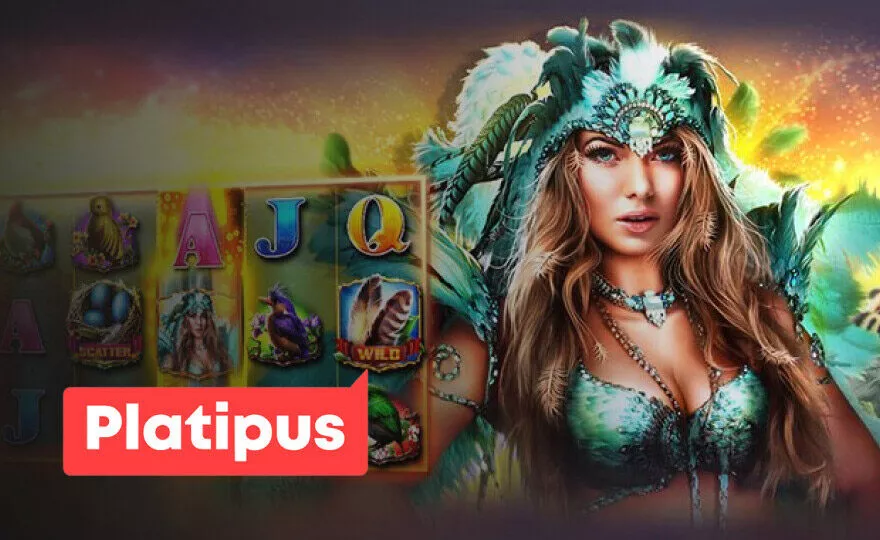 Platipus Provider Review