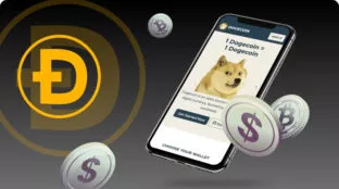 Dogecoin-payment-02