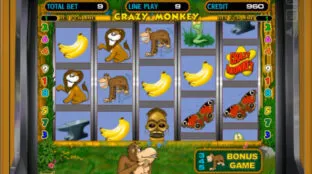 Crazy-Monkey-screen-2