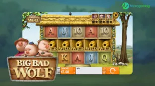 Microgaming_provider_01