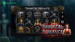 Microgaming_provider_02