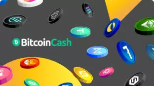 BitcoinCash-payment-01