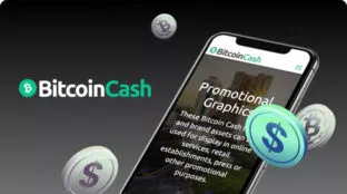 BitcoinCash-payment-02