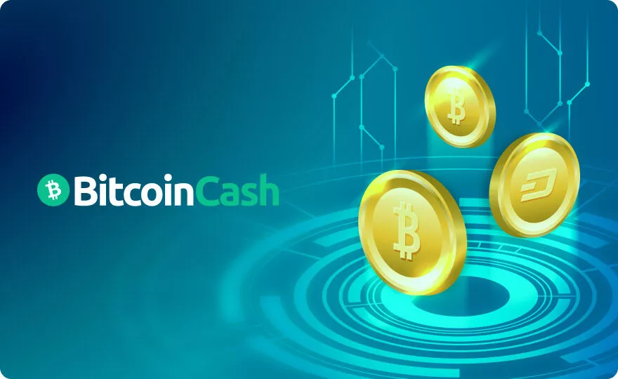 BitcoinCash-payment-thumbnail