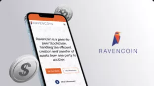 Ravencoin-payment-01